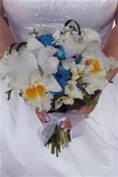 Floral arrangements and photos copyright � Jen's Blossoms 2004