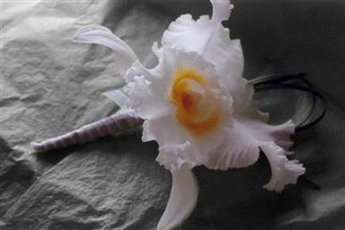 Floral arrangements and photos copyright � Jen's Blossoms 2004
