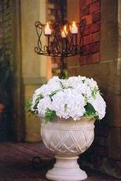 Floral arrangements and photos copyright � Jen's Blossoms 2004
