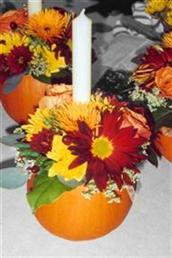 Floral arrangements and photos copyright � Jen's Blossoms 2004