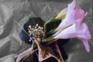 Floral arrangements and photos copyright � Jen's Blossoms 2004